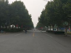-东华大学(松江校区)