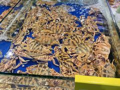 -三亚火车头万人海鲜广场