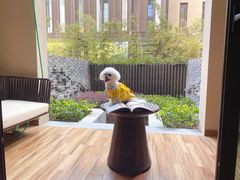 -上海崇明金茂凯悦酒店