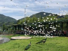 -瓷天下海丝谷
