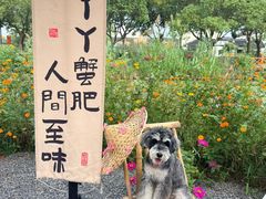 -丫丫蟹庄·苏式园林农家乐·阳澄湖大闸蟹(阳澄湖莲花岛店)