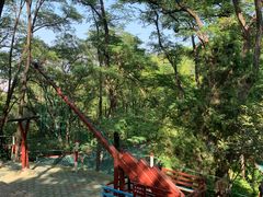 -原山国家森林公园