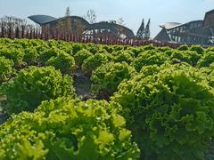 -中国天府农业博览园