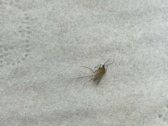 -上海市徐汇区口腔医院