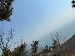 -石老人观光园