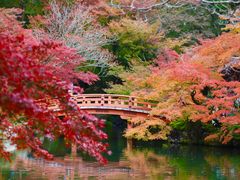 -醍醐寺
