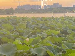 -济南大明湖景区
