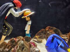 -欢乐海岸海洋奇梦馆