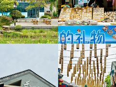 -日照海滨国家森林公园