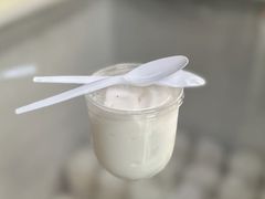-洪馨椰子