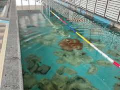 -青岛五四广场海景美仑国际公寓酒店