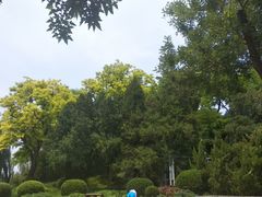 景点-陶然亭公园