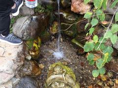 -大连天门山国家森林公园