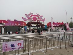 -曹州牡丹园