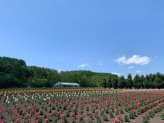 -富田农场