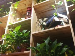 -小小河边鱼(天润城店)