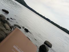 -上海月湖雕塑公园