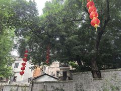-荔湾湖公园