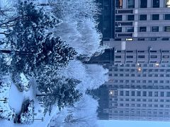 -哈尔滨音乐公园
