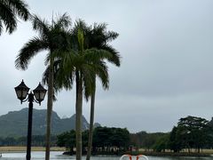 -南宁花花大世界景区