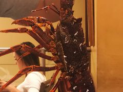 -金唐海鲜酒家