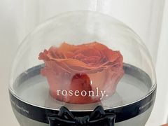 -ROSEONLY诺誓(磐基中心店)