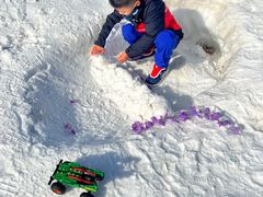 -绿野森林乐园冰雪季