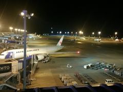 -中部国际机场