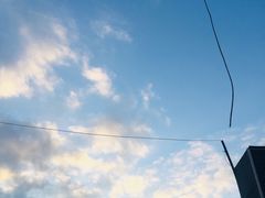 -盛兴面馆(真儒大厦店)