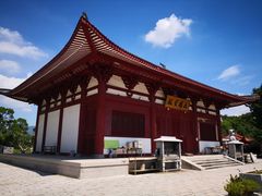 -金鸡山公园