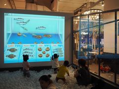 -FAIRYLAND龙族星球主题餐厅(凯丹广场店)