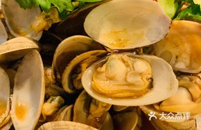 Mountain Pepper Clams