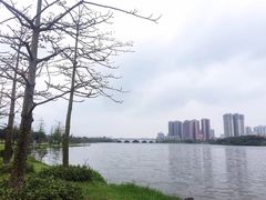 -飞来湖湿地公园