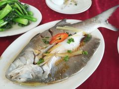 清蒸/红烧马友鱼-蛇口康乐快餐鱼仔档(翠苑小区店)