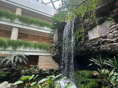 -广州白天鹅宾馆