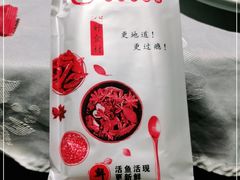 -雲蜀龙阁·金牌水煮鱼(方庄店)