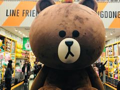 -line friends(明洞旗舰店)