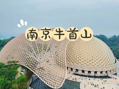 -牛首山文化旅游区