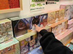 -猫的天空之城概念书店(杭州南宋御街店)