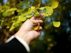 -白鹭湾湿地公园