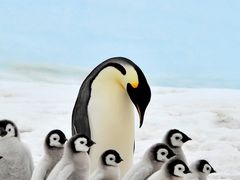 -德克士(龙阳广场店)