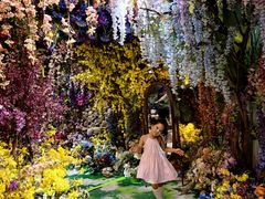 -正佳雨林生态植物园