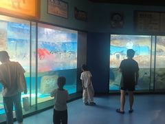 -海合安武汉极地海洋公园