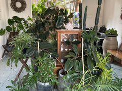 -云里小坐·小院里·团建·宴请·下午茶(三圣乡店)