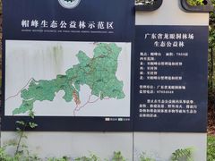 -广州市帽峰山景区