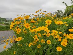-上海山野camping·户外天幕烧烤·团建拓展营地