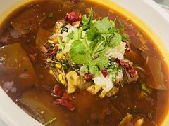 -松沪名灶·豆浆鱼头·新上海菜(飞航吾悦广场店)