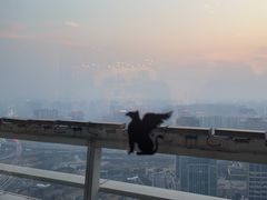 -郑州绿地JW万豪酒店-中餐厅