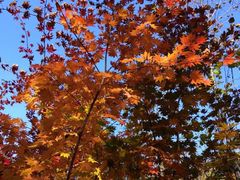 -长春市南湖公园