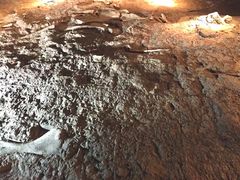 -世界恐龙谷景区